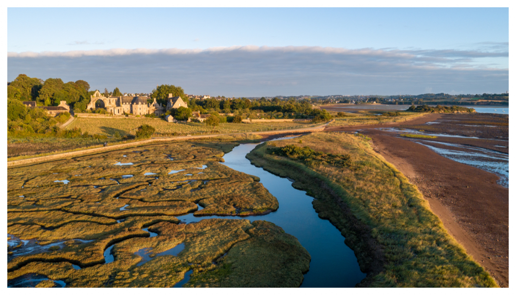Se promener dans les ruines de l'Abbaye de Beauport à l'entrée de Paimpol